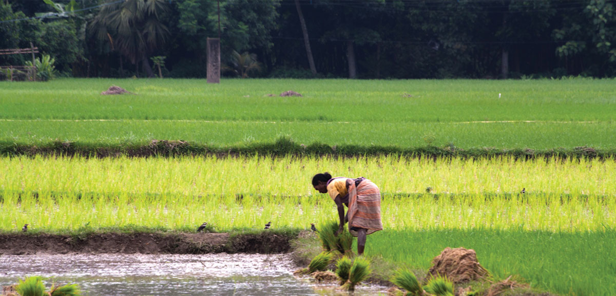 Krishak Bandhu has helped more than 66 lakh farmers