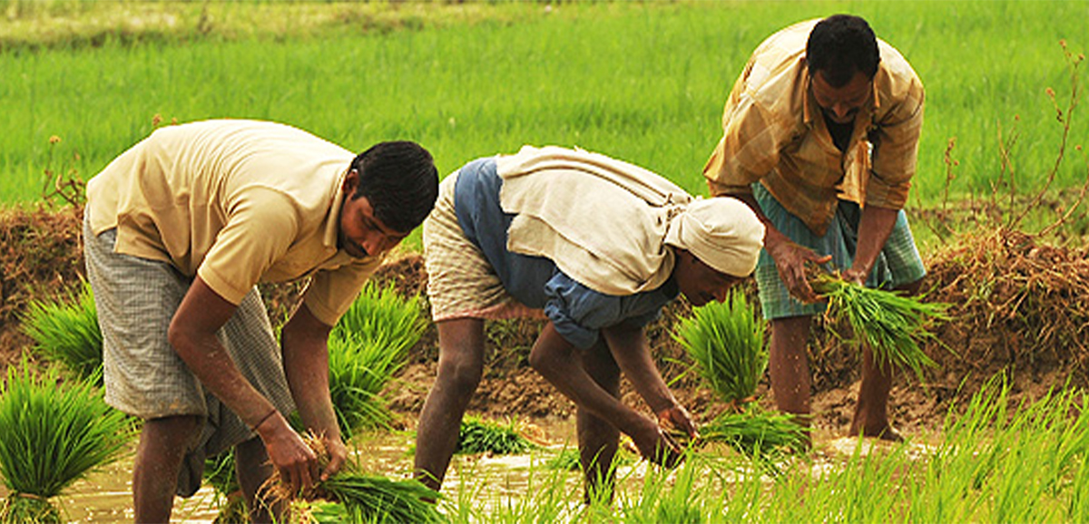 NABARD projects Bengal’s credit potential at Rs 1,91,289 cr NABARD projects Bengal’s credit potential at Rs 1,91,289 cr