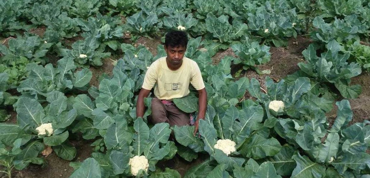 46 lakh farmers brought under the ambit of Bangla Shasya Bima